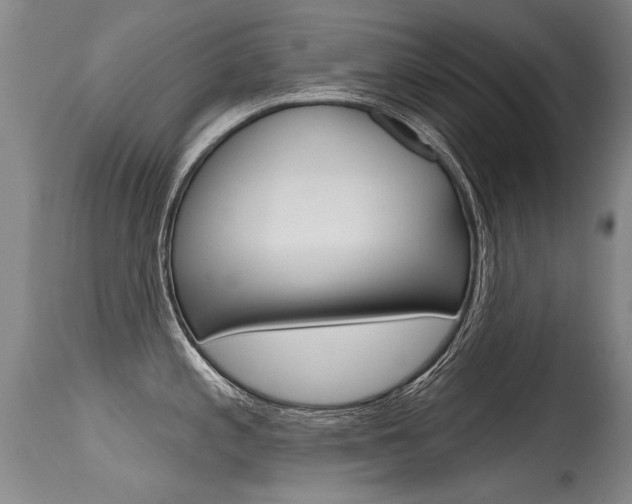 X0000115731197200911121119