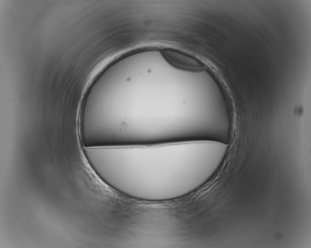 X0000115731199200911121119