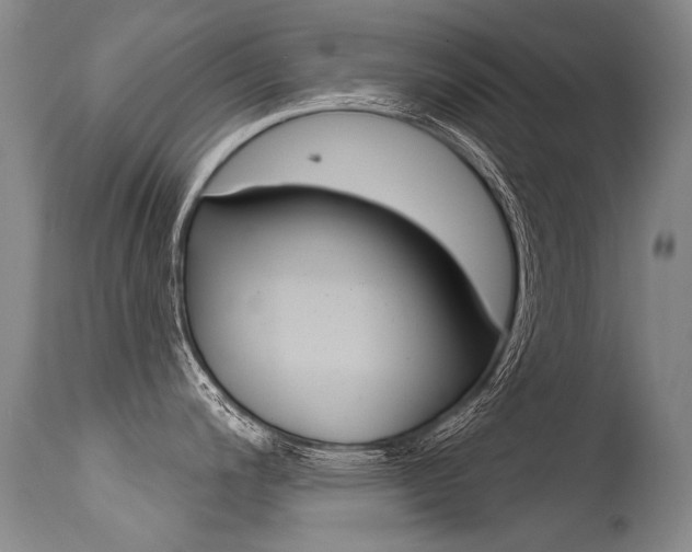 X0000115731200200911121119