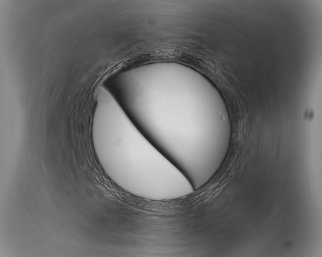 X0000115731201200911121118