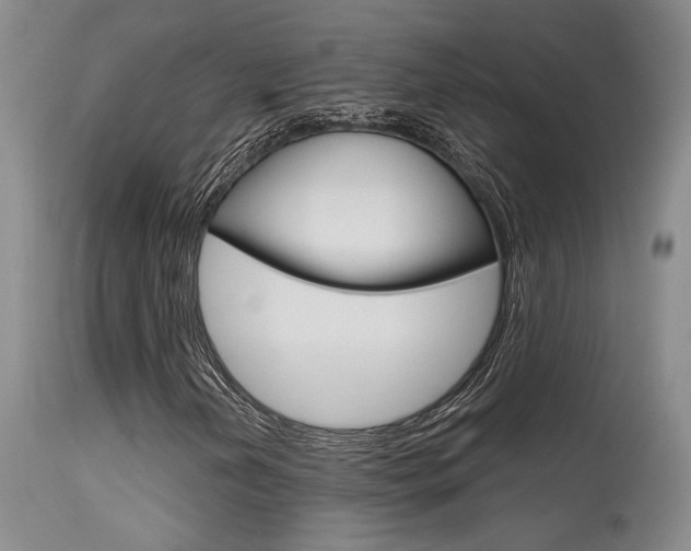 X0000115731202200911121118