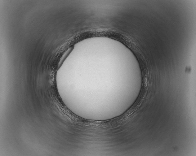 X0000115731204200911121118