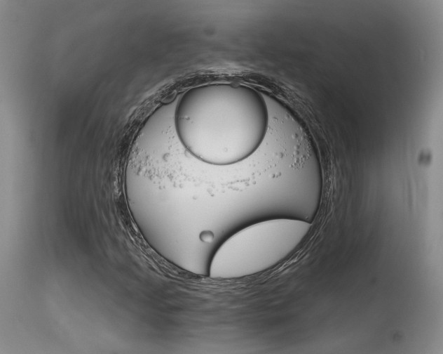 X0000115731205200911121118