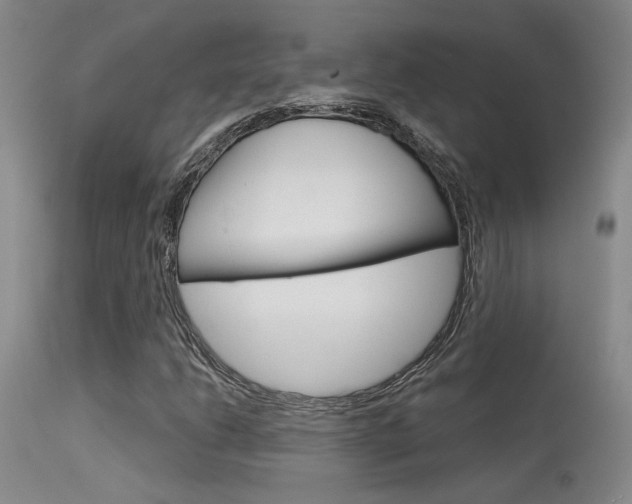X0000115731206200911121118