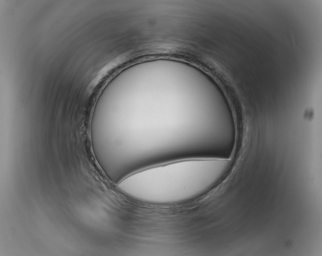 X0000115731210200911121118