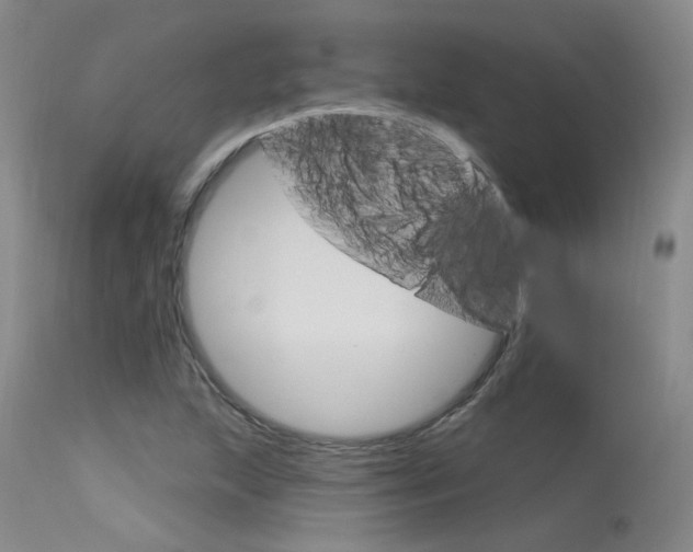 X0000115731215200911121118