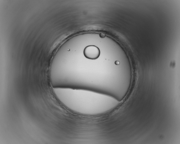 X0000115731217200911121118