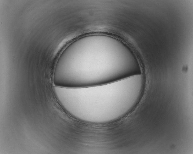 X0000115731218200911121118