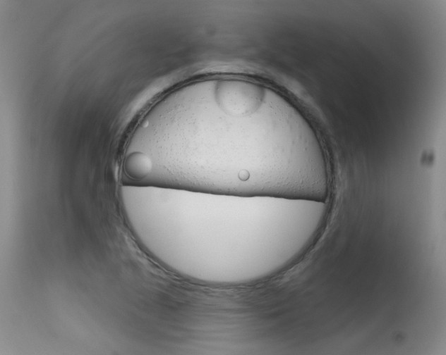 X0000115731221200911121118