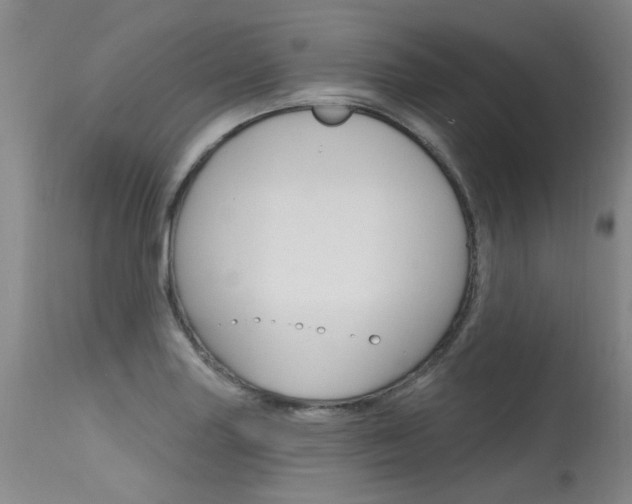 X0000115731227200911121118