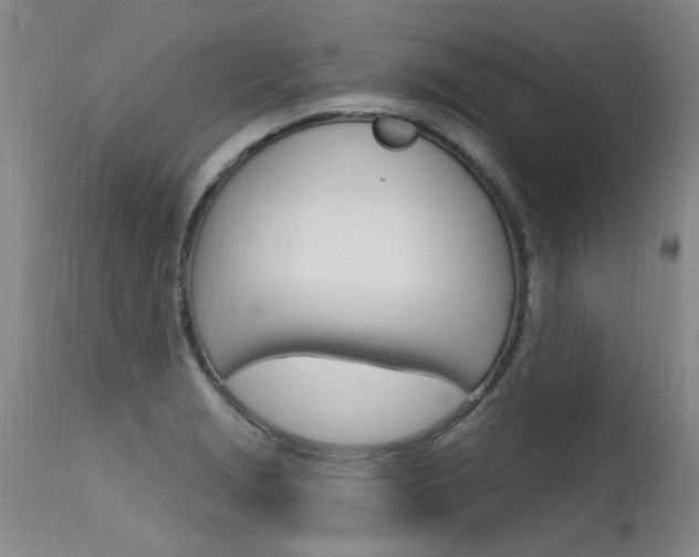 X0000115731229200911121118