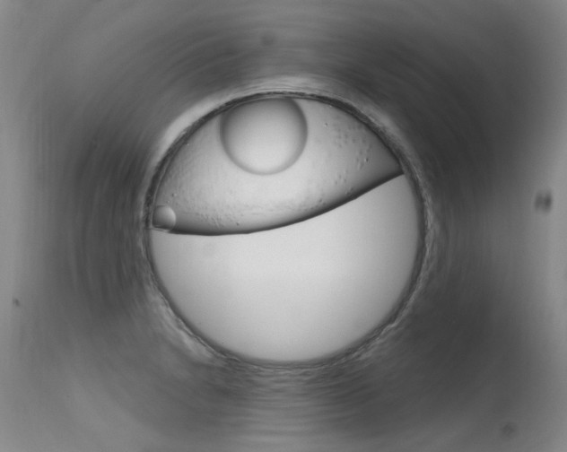 X0000115731230200911121118