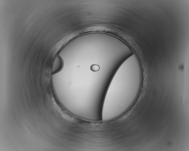 X0000115731233200911121118