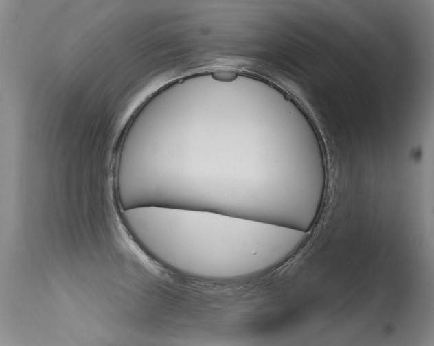 X0000115731235200911121118
