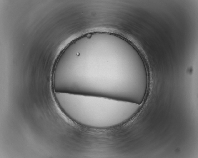 X0000115731237200911121118