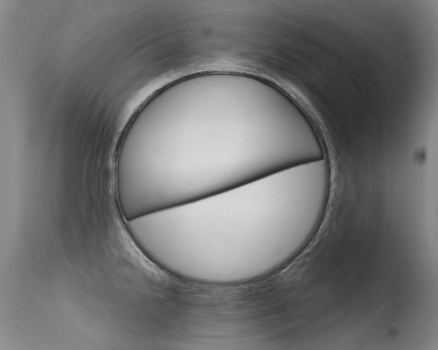 X0000115731238200911121118