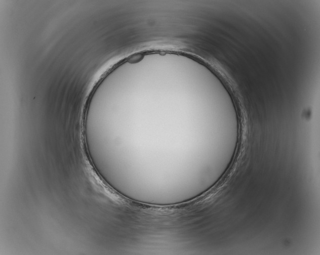 X0000115731240200911121118