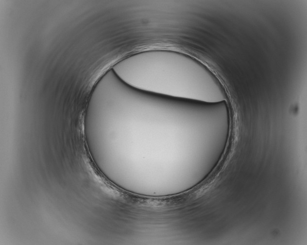 X0000115731241200911121119