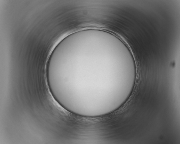 X0000115731243200911121119
