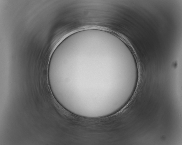 X0000115731244200911121119