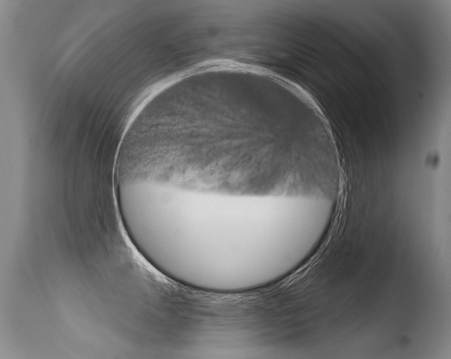 X0000115731247200911121119