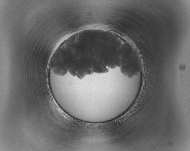 X0000115731248200911121119