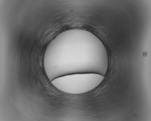 X0000115731250200911121118
