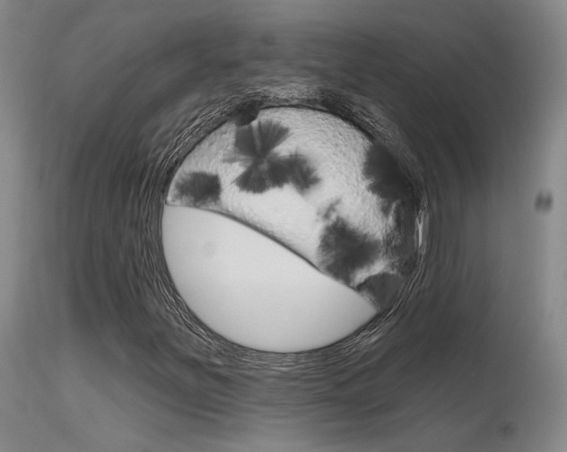 X0000115731251200911121118