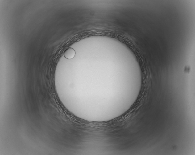 X0000115731253200911121118