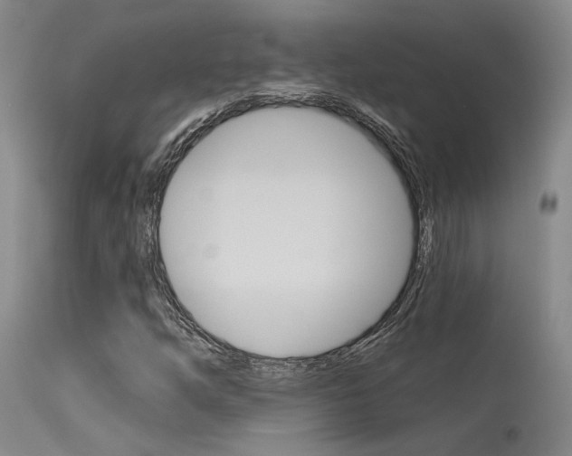 X0000115731254200911121118