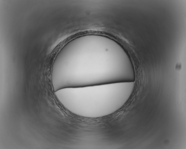 X0000115731255200911121118