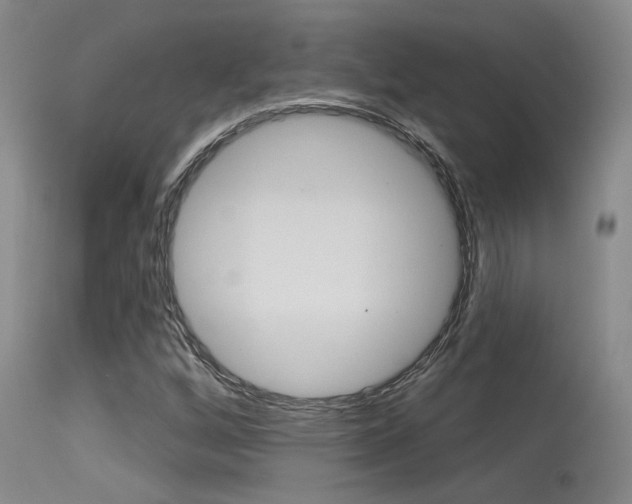 X0000115731256200911121118