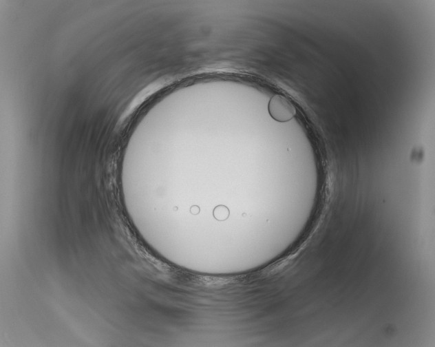 X0000115731258200911121118