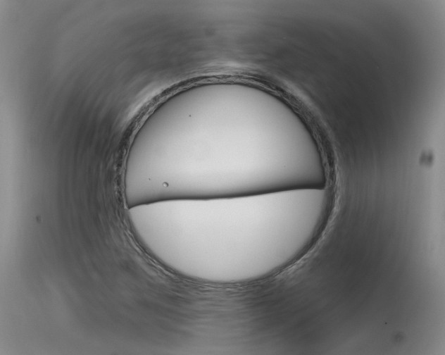 X0000115731259200911121118