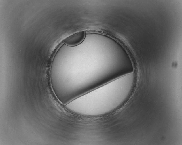 X0000115731260200911121118