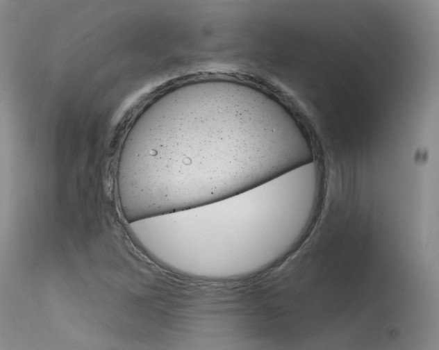 X0000115731262200911121118