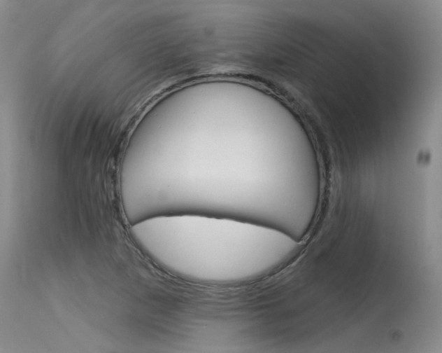 X0000115731265200911121118