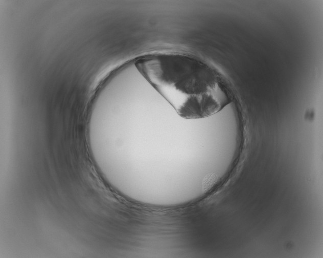 X0000115731267200911121118