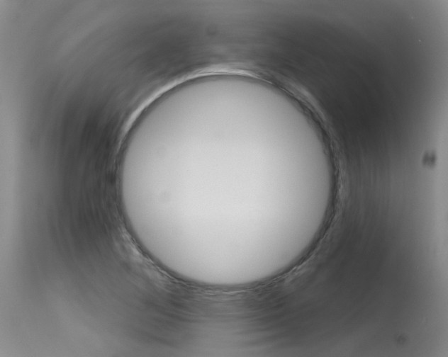 X0000115731268200911121118