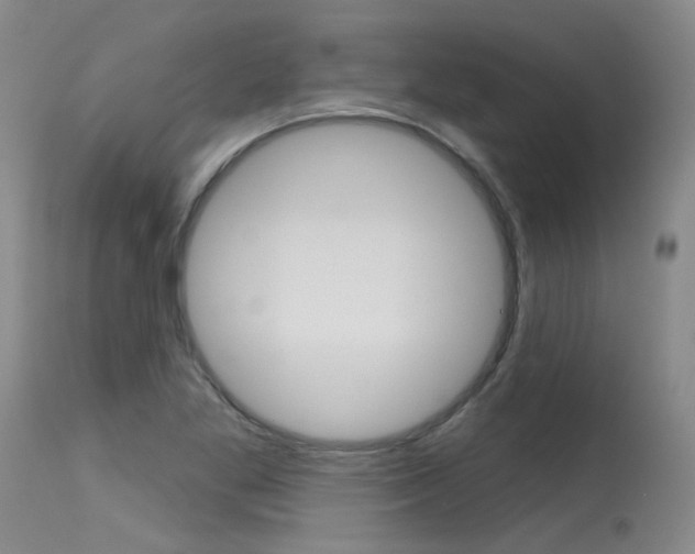X0000115731269200911121118