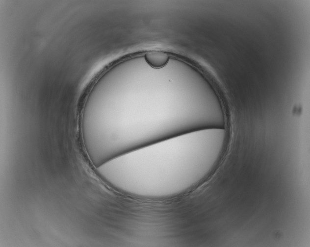 X0000115731270200911121118