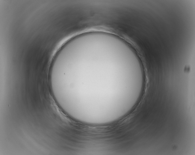 X0000115731272200911121118
