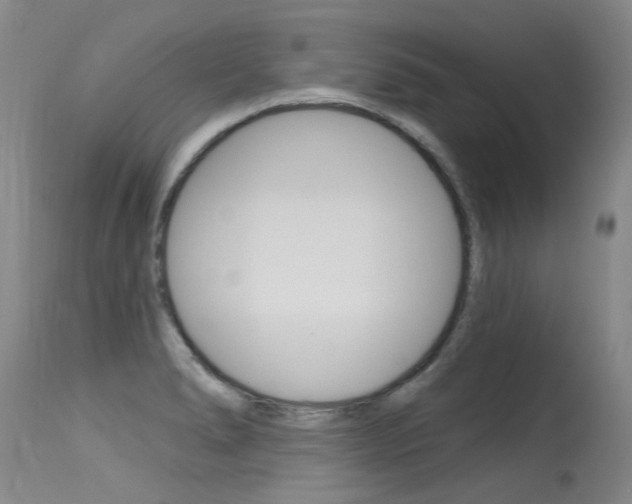 X0000115731278200911121118
