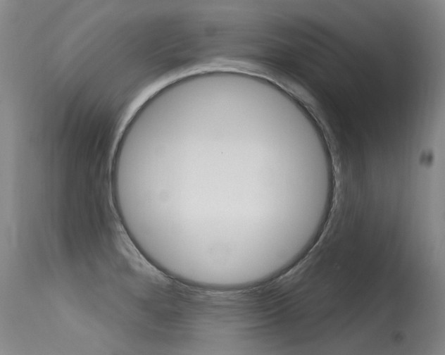 X0000115731280200911121118