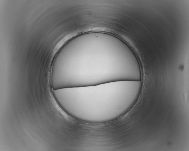 X0000115731282200911121117