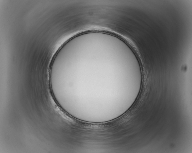X0000115731287200911121117