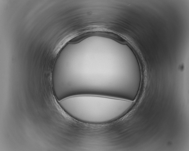 X0000115731289200911121117