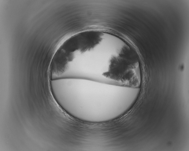 X0000115731291200911121117