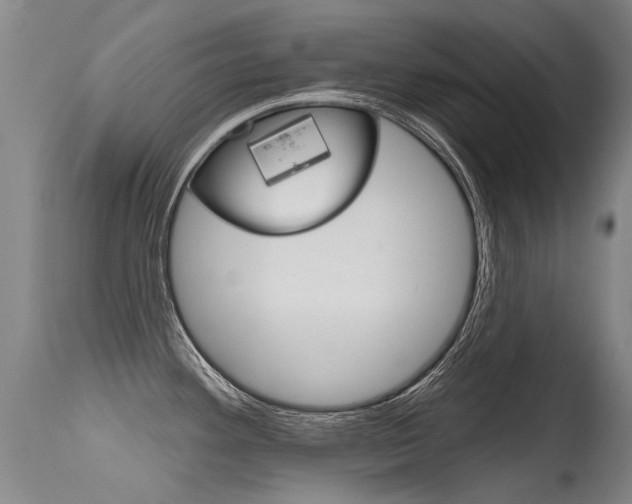 X0000115731292200911121117