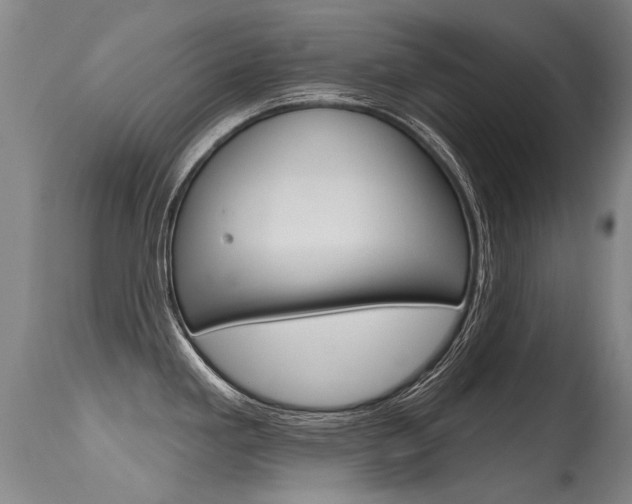 X0000115731293200911121117
